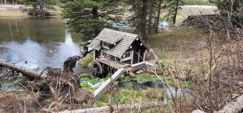 A quaint, rustic cabin with a waterwheel beside a calm river, surrounded by trees and grassy terrain.