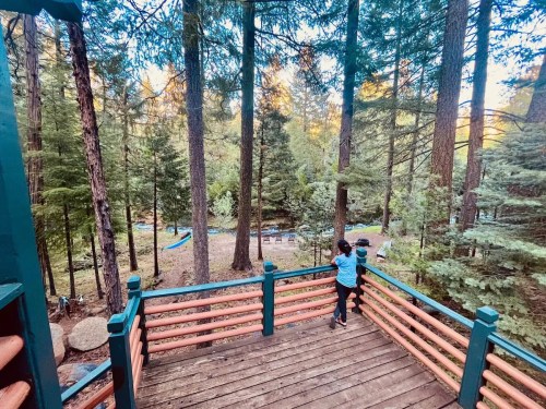 A person stands on a wooden deck surrounded by tall trees, overlooking a serene forested area with a river.