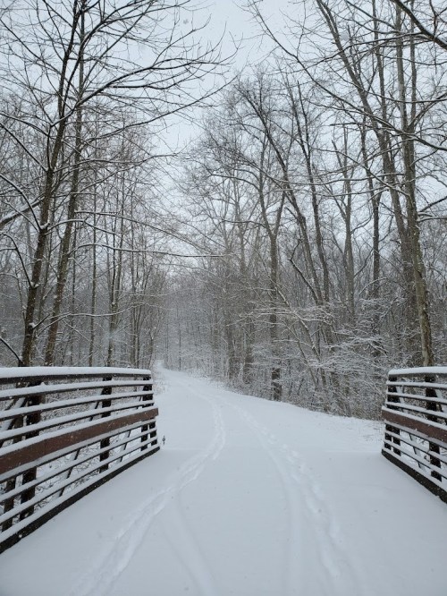 A snowy path leads through a forest, with a wooden bridge and bare trees lining the way.
