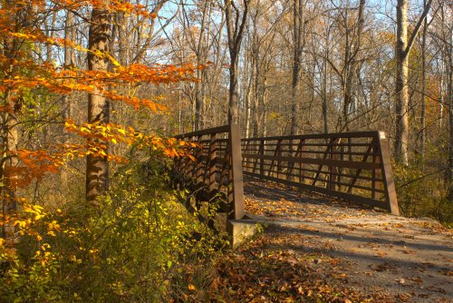 A wooden bridge in a forest, surrounded by autumn foliage and trees, with warm sunlight filtering through.