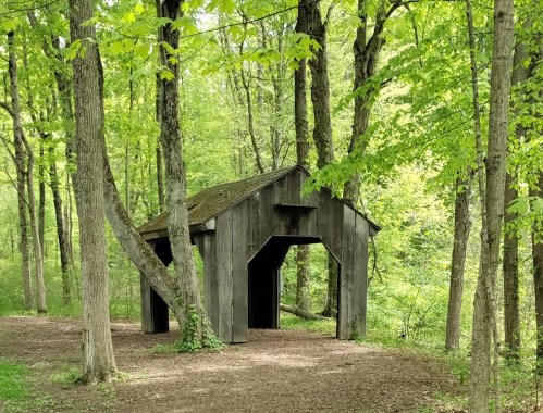 A small, dark wooden structure nestled among lush green trees in a serene forest setting.