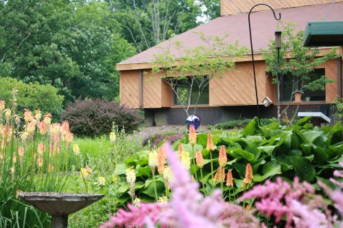 A vibrant garden with colorful flowers, a birdbath, and a house in the background surrounded by lush greenery.