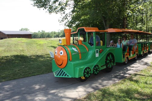 A colorful train with a smiling face carries passengers along a path in a green park setting.