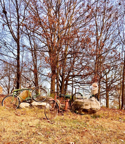 A collection of old bicycles resting on a large rock, surrounded by bare trees and autumn leaves.
