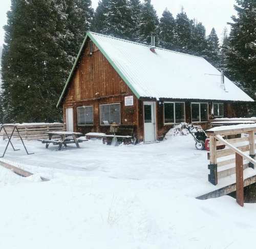 A cozy wooden cabin surrounded by snow-covered trees, with a snowy deck and picnic tables in a winter landscape.