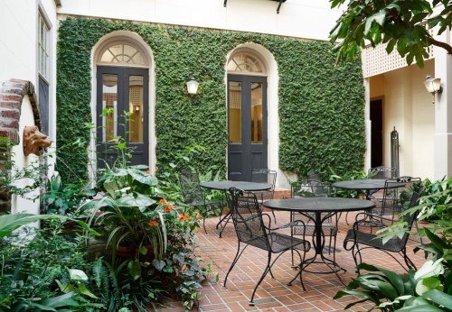 A serene courtyard with green ivy-covered walls, black metal tables, and chairs surrounded by lush plants.