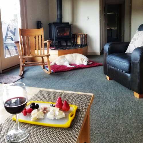 A cozy living room with a sleeping dog, a glass of red wine, and a plate of cheese and berries on a table.