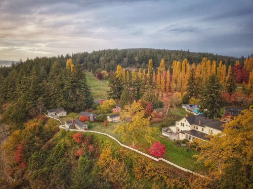 Aerial view of colorful autumn trees surrounding houses on a hillside, with a winding path and lush greenery.