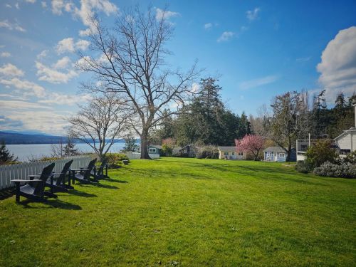 A serene landscape featuring a grassy area with chairs, trees, and a view of the water under a blue sky.