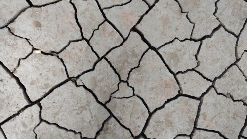 Close-up of dry, cracked earth with a network of fissures and a light gray color.