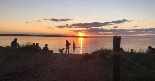 Silhouettes of people and a dog by the water at sunset, with vibrant colors reflecting on the calm surface.