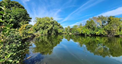 A serene lake surrounded by lush greenery and trees, reflecting a clear blue sky with wispy clouds.