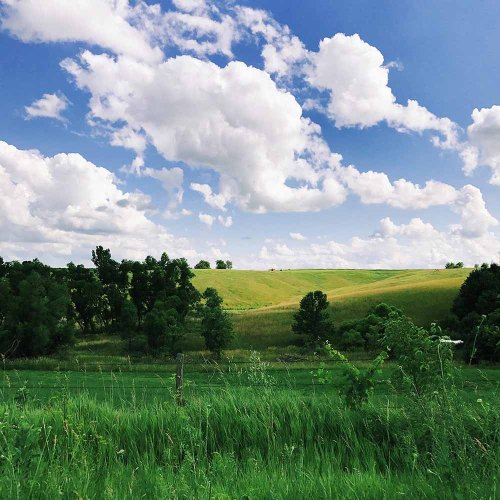 Lush green fields under a bright blue sky with fluffy white clouds and trees in the foreground.