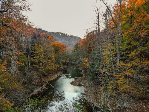 A serene river flows through a forest of vibrant autumn foliage, with trees in shades of orange, yellow, and green.