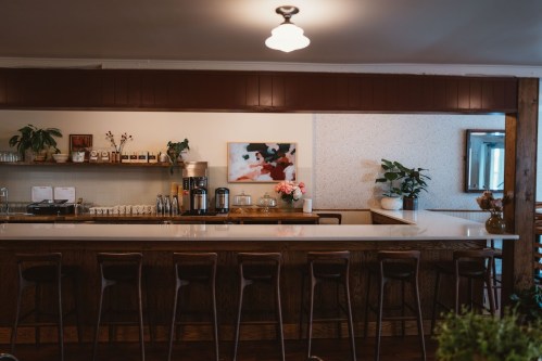 A cozy café interior featuring a wooden bar, stools, and a minimalist decor with plants and artwork on the walls.