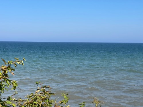 A serene view of the ocean with calm blue waters and a clear sky, framed by green foliage in the foreground.