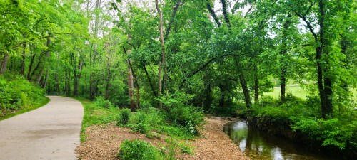 A serene path winds through lush green trees alongside a small, gently flowing creek.