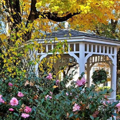 A white gazebo surrounded by colorful autumn foliage and blooming flowers in a serene garden setting.