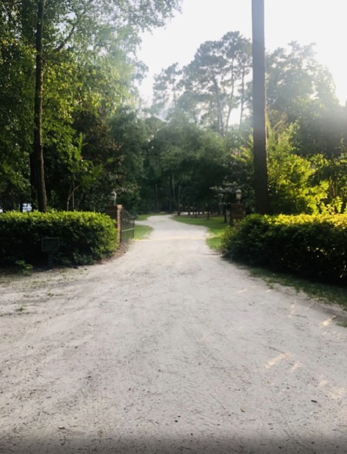 A sandy driveway leads through lush greenery, flanked by trees and bushes, creating a serene, inviting atmosphere.