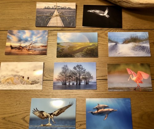 A collection of nature-themed postcards featuring landscapes, animals, and coastal scenes arranged on a wooden table.