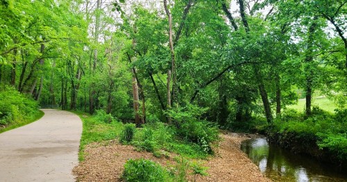 A serene pathway winds through lush green trees beside a small stream in a peaceful natural setting.