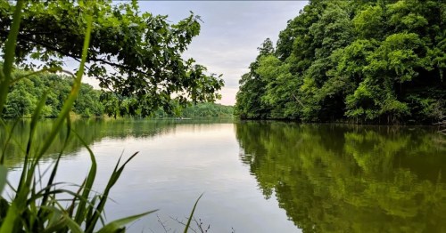 A serene lake surrounded by lush green trees, reflecting the calm water and cloudy sky.
