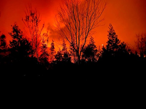 Silhouetted trees against a fiery orange sky, indicating a wildfire or intense sunset.