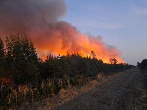 A forest fire burns in the distance, with thick smoke and flames visible against a twilight sky.