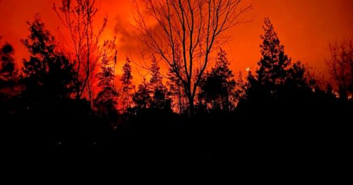 Silhouetted trees against a fiery orange sky, indicating a wildfire or intense smoke in the background.