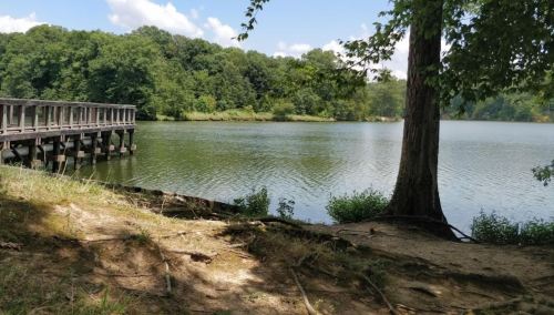 A serene lake surrounded by trees, with a wooden pier extending into the water under a clear blue sky.