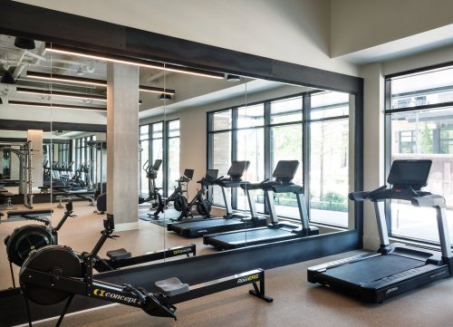 A modern gym with treadmills, an exercise bike, and large mirrors reflecting natural light from windows.