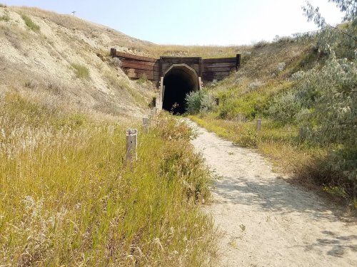 A dirt path leads to a dark tunnel entrance, surrounded by tall grass and shrubs on a hillside.