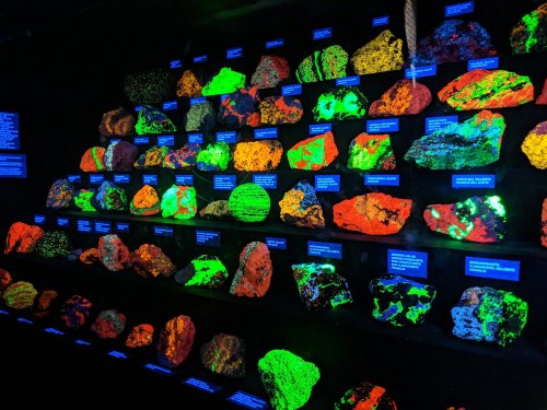 A display of brightly glowing rocks under UV light, showcasing various colors and patterns against a dark background.