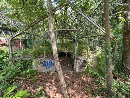 Abandoned greenhouse overgrown with plants and graffiti, surrounded by trees and fallen leaves.