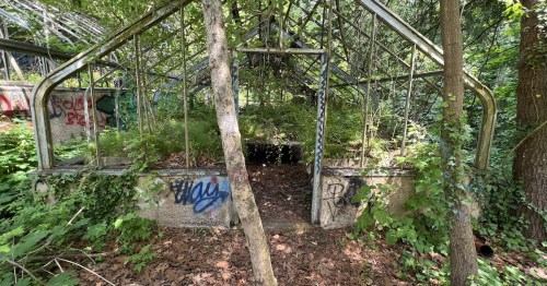 Abandoned greenhouse overgrown with plants and vines, featuring graffiti on stone walls.