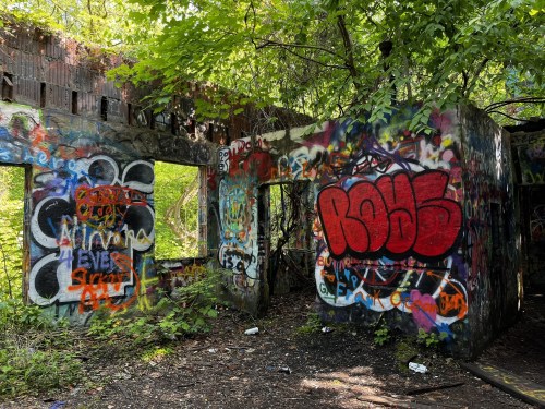 Graffiti-covered walls of an abandoned building, surrounded by lush greenery and overgrown vegetation.