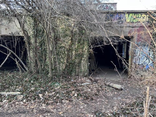 Abandoned building partially covered in vines and graffiti, with dark openings and scattered debris in the foreground.