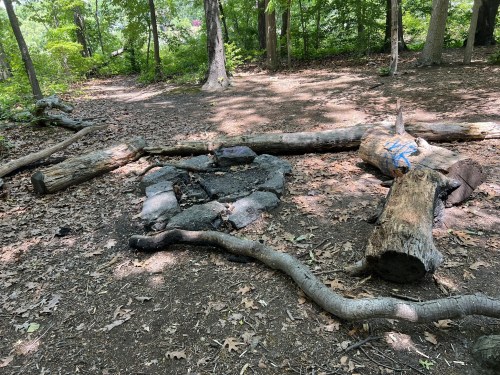 A clearing in the woods with a stone fire pit, logs, and scattered leaves under dappled sunlight.