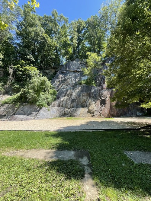 A rocky cliff surrounded by lush green trees under a clear blue sky, with a grassy area in the foreground.