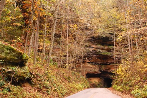A scenic road leads into a rocky cave, surrounded by vibrant autumn foliage and tall trees.