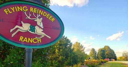 Sign for Flying Reindeer Ranch with colorful flowers and trees lining a grassy path under a clear blue sky.