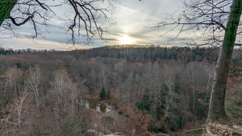 A serene landscape of bare trees and a winding stream, with a soft sunset illuminating the horizon.