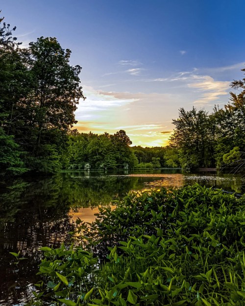 A serene lake at sunset, surrounded by lush greenery and trees, reflecting warm colors in the water.