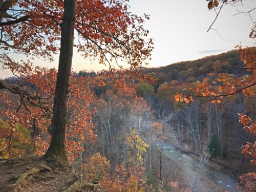 A scenic view of a river winding through a forest with vibrant autumn foliage and a sunset in the background.