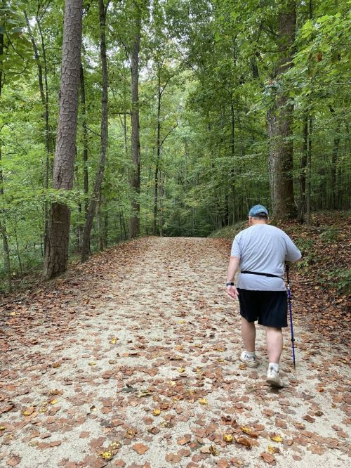 A person walking on a gravel path through a lush green forest, surrounded by trees and fallen leaves.