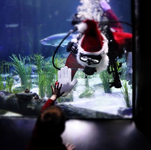 A child reaches out to a scuba diver in a Santa hat, underwater in an aquarium, surrounded by fish and plants.
