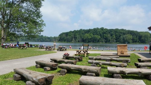 A sunny park by a lake with picnic tables, people swimming, and lush green trees in the background.