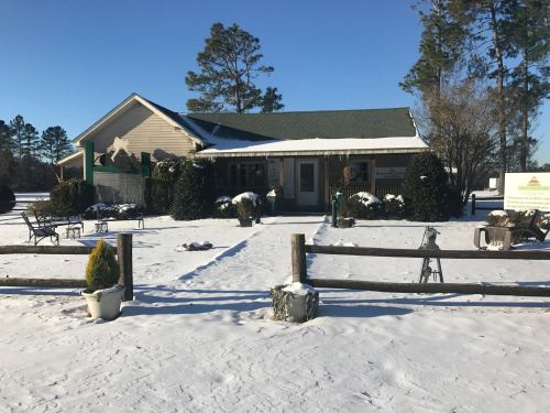 A cozy house surrounded by snow, with a green roof and a fenced yard featuring decorative plants and benches.