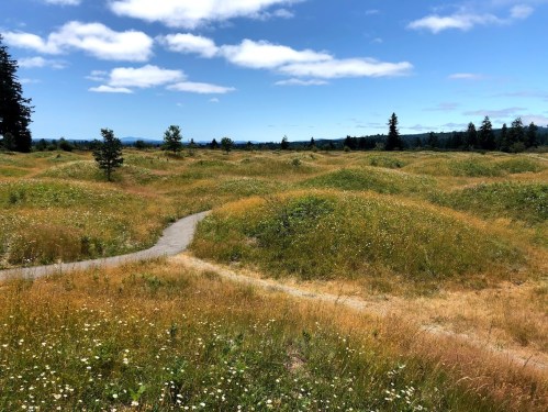 A winding path through a grassy landscape with rolling hills and scattered trees under a blue sky with clouds.