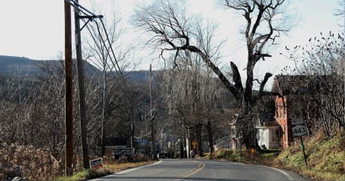 A winding road lined with bare trees and a few houses, leading into a rural landscape under a clear sky.